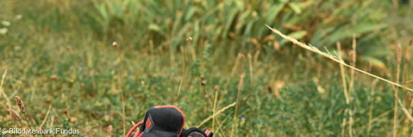 Pilgerschuhe und -stab am Kreuzweg